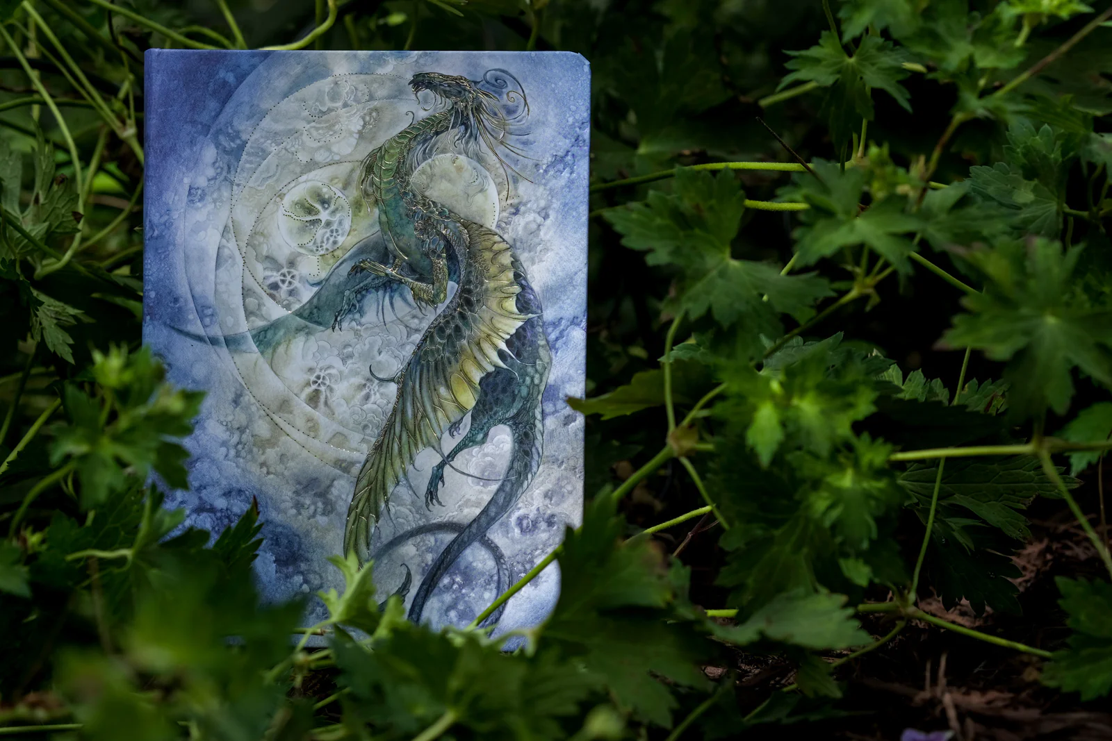 Dragon Journal - Image 4