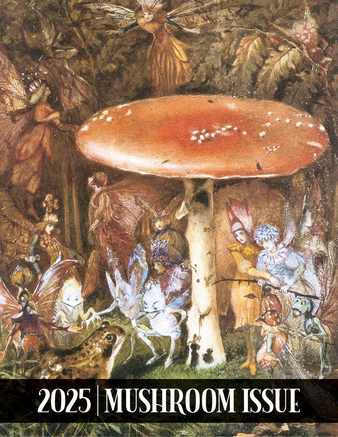 Enchanted Living Issue #70, Spring 2025, Print - Image 2