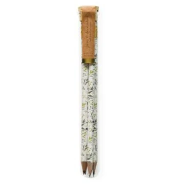 Herb Pencil Terrarium, Set of 5 Pencils - Image 2