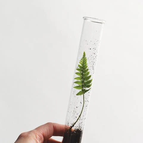 Herb Pencil Terrarium, Set of 5 Pencils - Image 4
