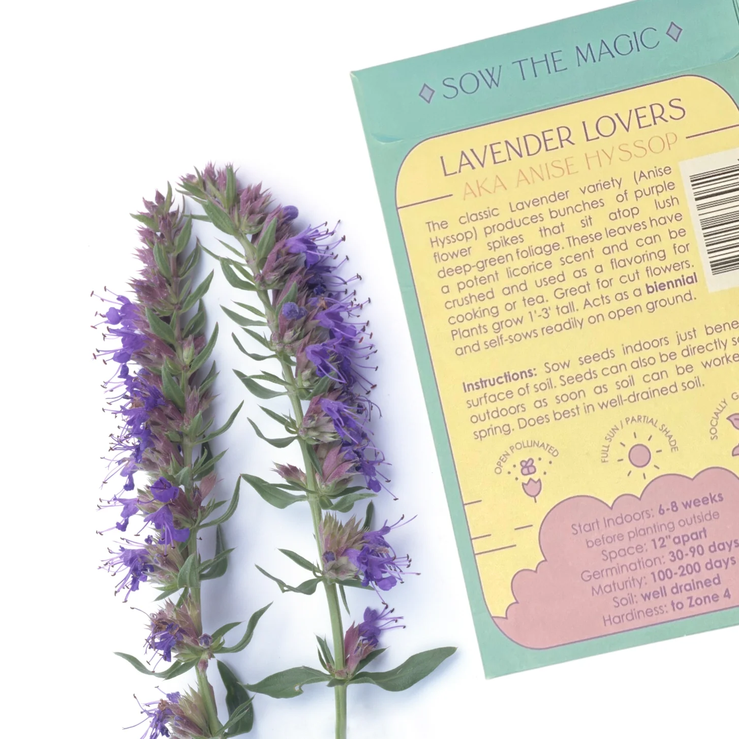 Lavender Hyssop Lovers Tarot Seed Packet - Image 3