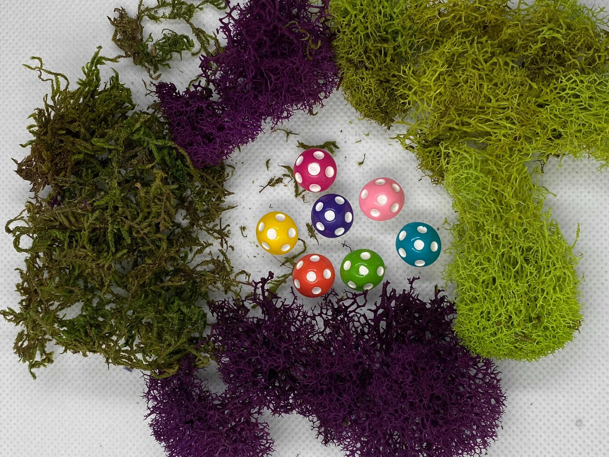 Miniature Faerie Garden Kit - Image 7