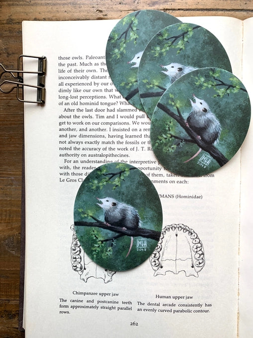 Opossum Vinyl Sticker - Image 2