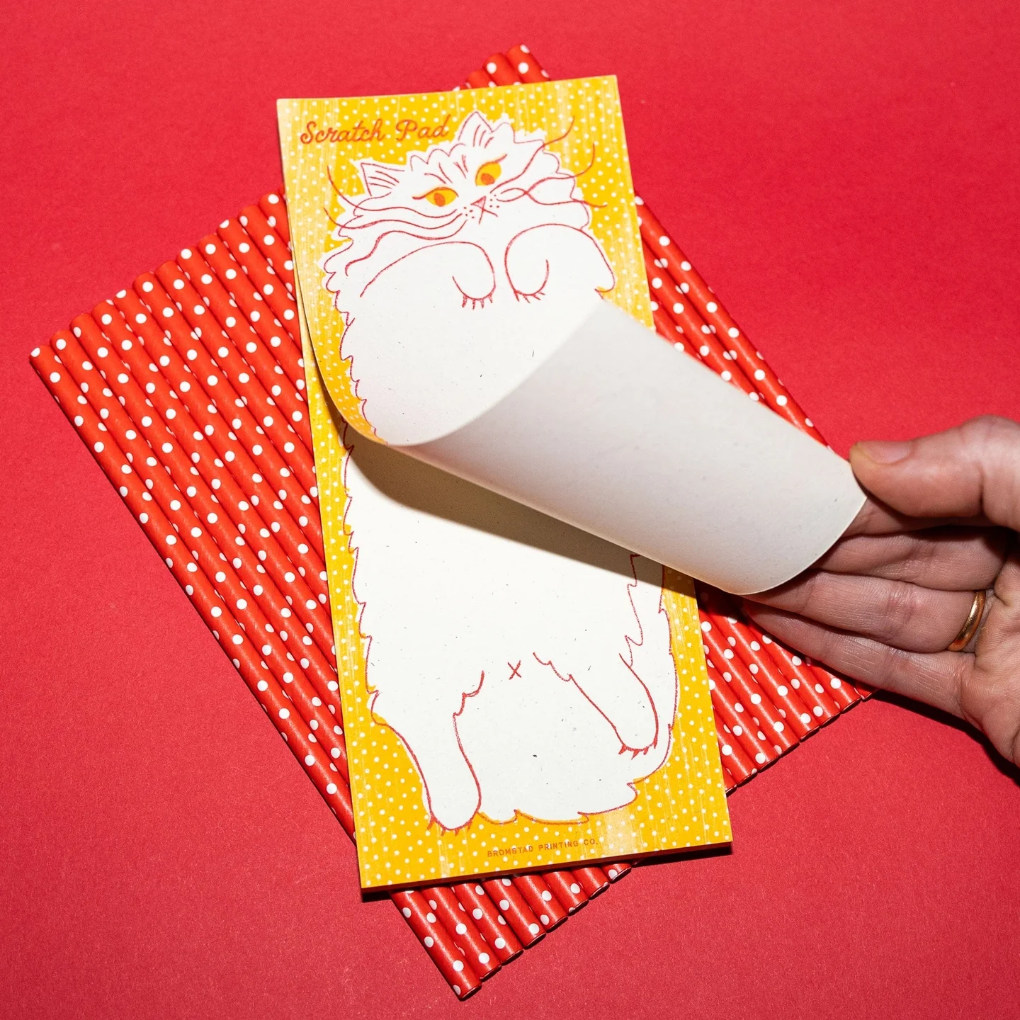 Scratch Pad Cat Risograph Notepad - Image 5