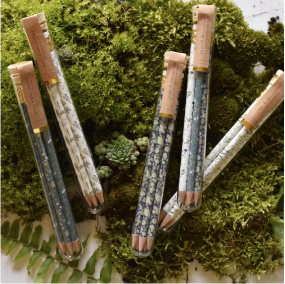 Fern Pencil Terrarium, Set of 5 Pencils - Image 2