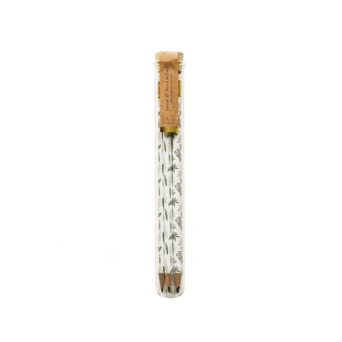 Fern Pencil Terrarium, Set of 5 Pencils - Image 3
