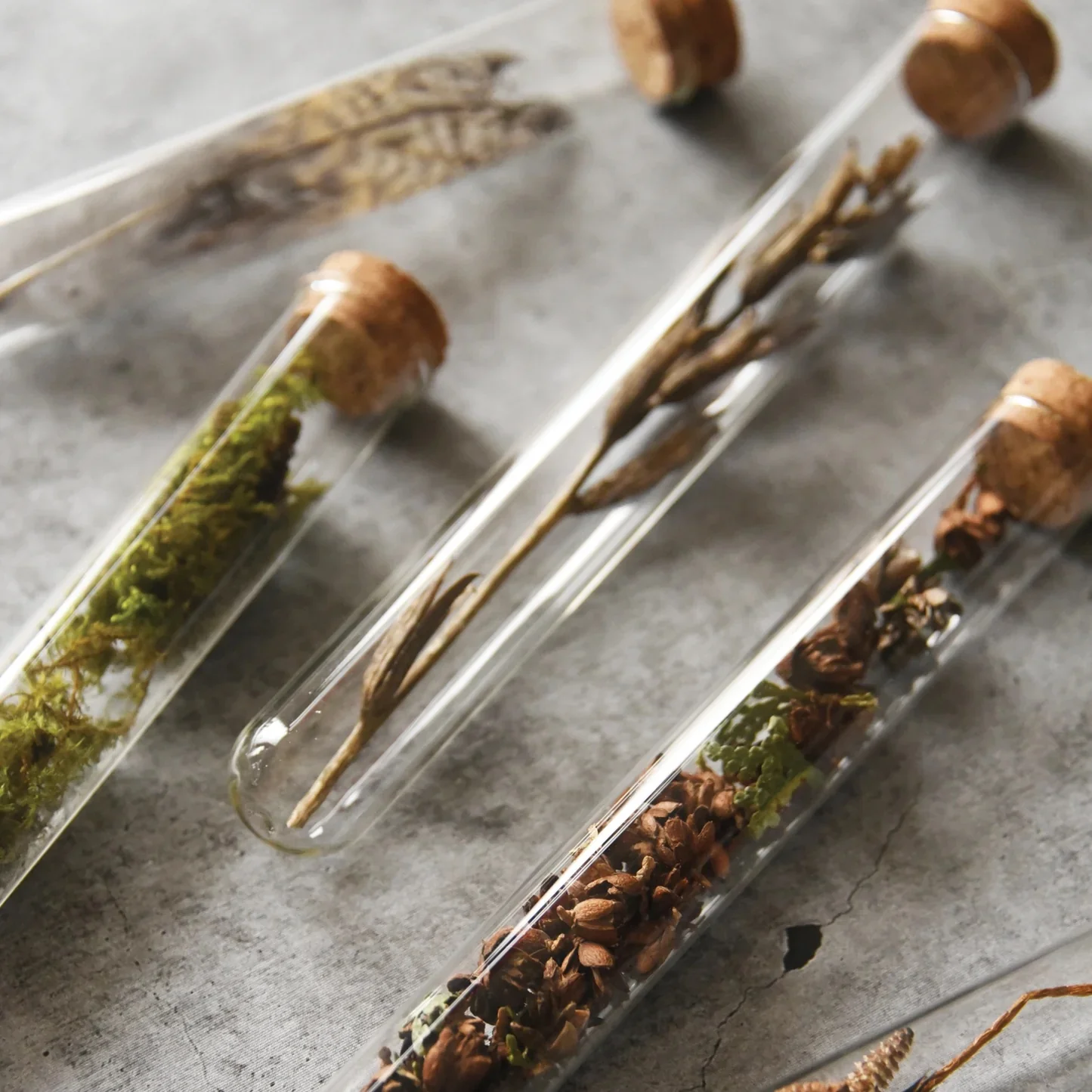 Fern Pencil Terrarium, Set of 5 Pencils - Image 5