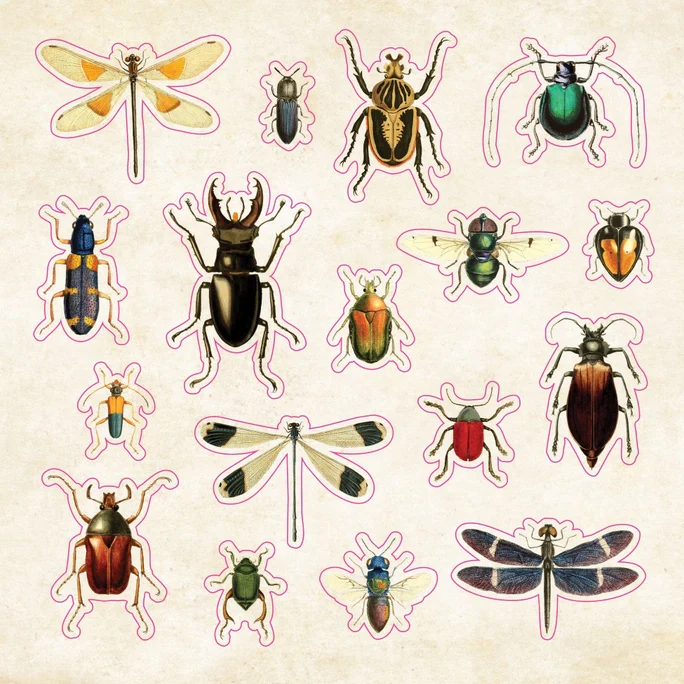 The Sticker Book of Curiosities - Image 11