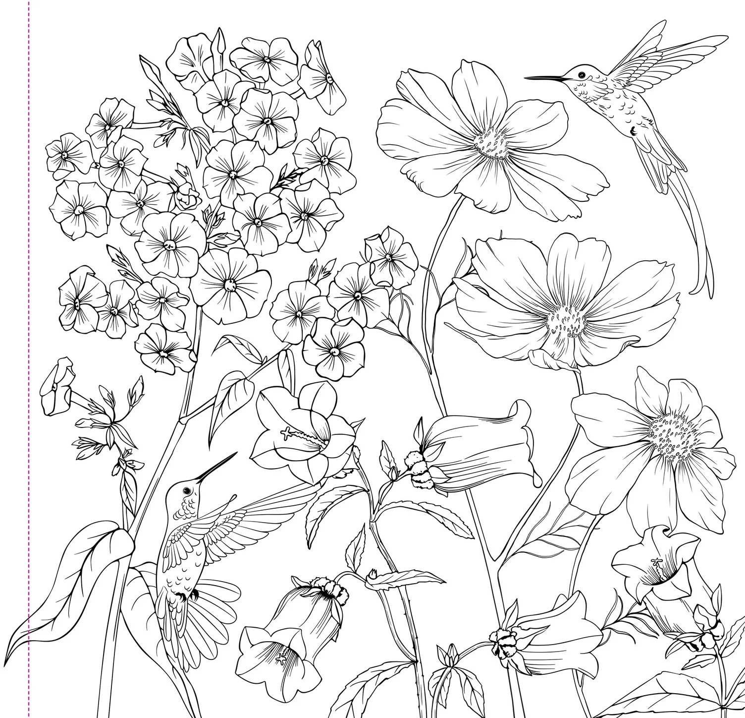 Wildflowers Adult Coloring Book - Image 5