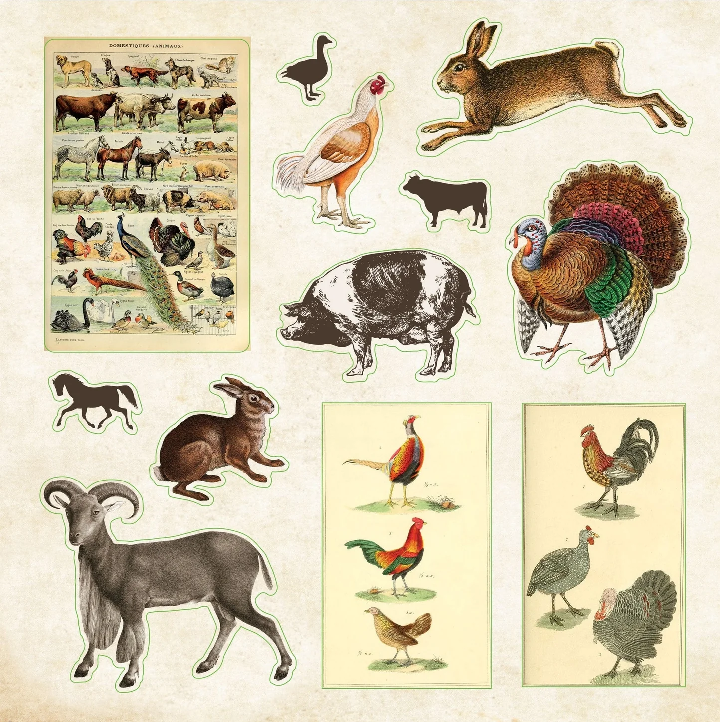 Zoological Ephemera Sticker Book - Image 4